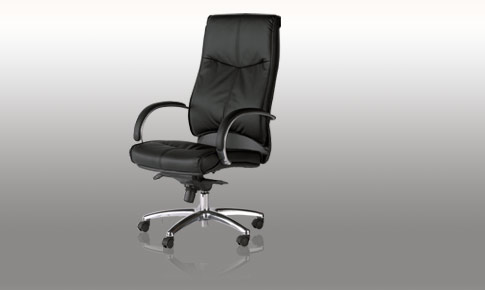 Unbranded Langholm Executive Chair