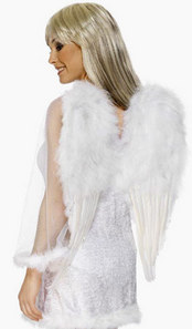 White large feather wings, Aprox 22`` from top to wing tip. Ties on with supplied tapes.