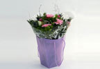 This pretty bouquet contains an array of soft pink and cream flowers nestled between deep green foli
