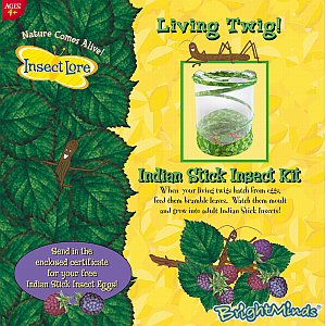 Unbranded Living Twig