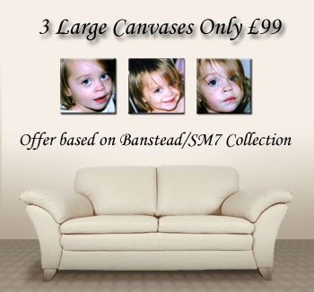 Amazing value offer of 3 large, quality canvas prints for only 