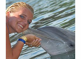This extra special dolphin experience takes place in the Pacific Ocean, not a pool and includes interacting with two of these incredible mammals.