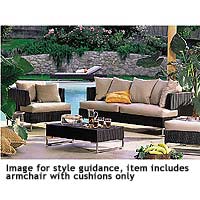 Image for style guidance, item includes armchair o
