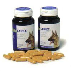 Unbranded Lypex Capsules