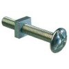 M6 x 20mm Roofing Bolt with Nut