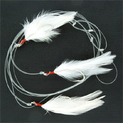 Available in a string of 3 / 5 or 12 coloured feathers and 3 or 6 white feathers on 45lb test clear 