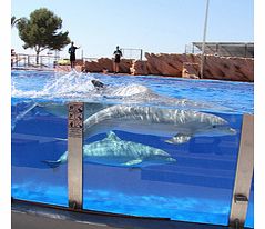 A must for all animal lovers! Go Dolphin-mad at the world-famous Bottlenose Dolphin exhibitions, see monsters of the deep in the shark tank and get up close with penguins, sea lions, snakes, parrots and much more!