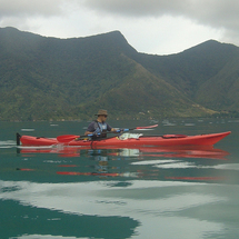 Unbranded Marlborough Sounds Guided Kayak Trip - Adult