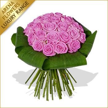 Unbranded Mass of Pink Roses - flowers