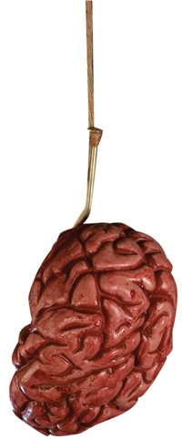 Unbranded Meat Market - Brain with Hook