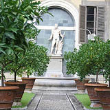 Unbranded Medici Family Walking Tour - Small Group Tour -
