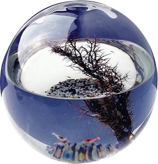 Invented by NASA Scientists, The Ecosphere is the Worlds first totally enclosed Ecosystem - a