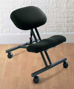 Metal Back Chair