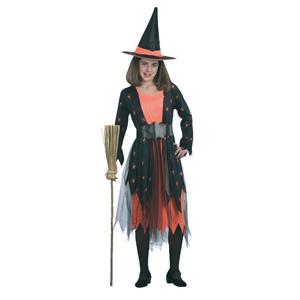 The witches of midnight all come out at Halloween! Costume includes black and orange dress with net 