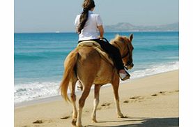 Equine enthusiasts will love this opportunity to explore the stunning coastline of desert and beach, from the back of a friendly horse.