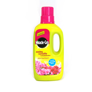 Specially formulated for all acid-loving plants like the Azalea  Camellia and Rhododendron  this pla
