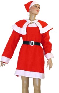 Unbranded Miss Santa Costume