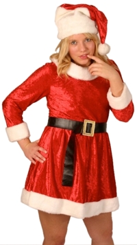 Unbranded Miss Santa Dress and Hat (Thick Fur Trim)