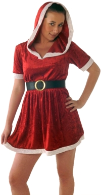 Unbranded Miss Santa Dress with Hood