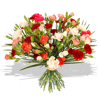 Unbranded Mixed Carnations - flowers