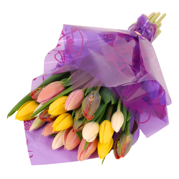 Unbranded Mixed Tulip Gift Wrap - flowers