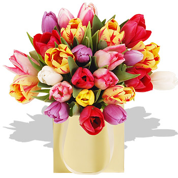 Unbranded Mixed Tulips Gift Bag - flowers