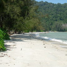 Enjoy a small slice of paradise! Monkey Beach comprises picture-postcard white sand fringed by cocon
