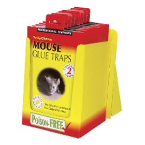 Unbranded Mouse Glue Traps Twin Pack
