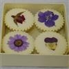 Unbranded Multi pack of flower bath melts: Clear boxed - 4 pack