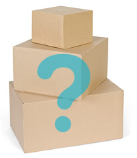 Unbranded Mystery Box (Standard For Kids)