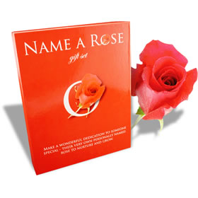 A touching gift that allows the recipient to nurture  grow and name their very own rose.   When you