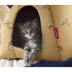 Made from 100 cotton, the pyramid style of bed is designed to give your cat all the comfort and secu