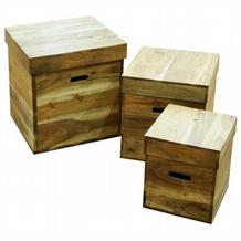 Newbury Trunks x3