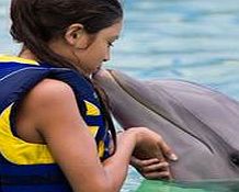 Unbranded Oahu Dolphin Encounter - Child