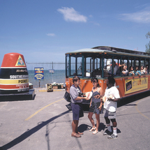 Unbranded Old Town Trolley Tour of Key West - Adult