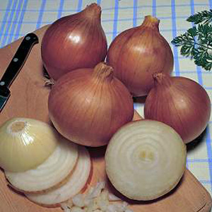 Unbranded Onion Bedfordshire Champion Seeds