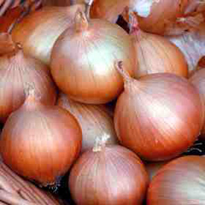 Unbranded Onion Hi-Keeper Seeds