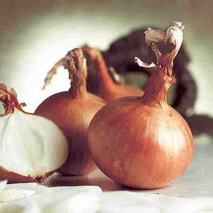 Unbranded Onion Hytech F1 Seeds