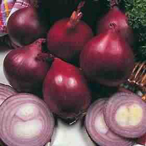 Unbranded Onion Red Baron F1 Hybrid Seeds