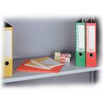 Optional Plain Shelf for Storage Cabinet-Black
