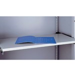 Optional Roll-Out Shelf - Grey