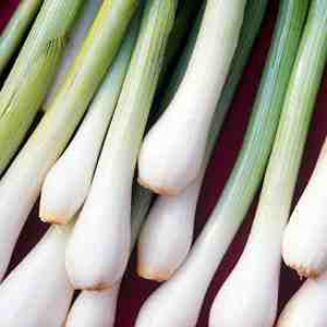 Unbranded Organic Spring Onion White Seeds