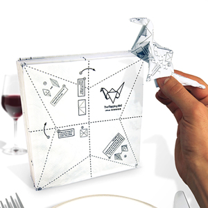 Unbranded Origami Napkins