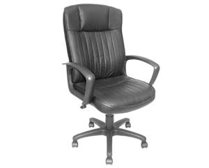 Unbranded Osla leather chair