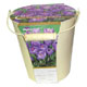 The ideal gift for any budding garden enthusiast this gift set will provide an easy manner of growin