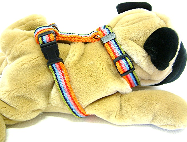 Over the Rainbow Harness