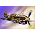Unbranded P-40E Warhawk A.V.G `Flying Tigers` David `Tex`