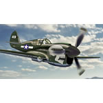 Unbranded P-40N Warhawk `Joanne`