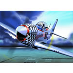 A detailed collector quality diecast replica of the P-51D Mustang Col John Landers. Each Armour Coll