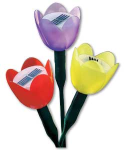Pack of 3 Solar Tulips
